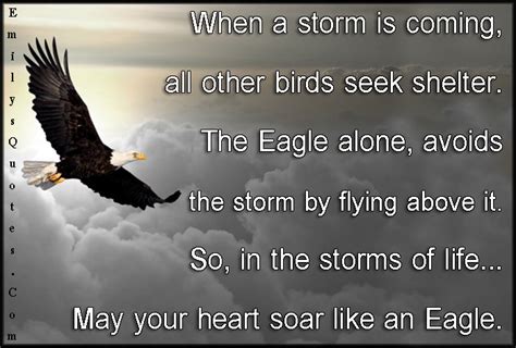 More images for if you want to soar with the eagles quote » When a storm is coming, all other birds seek shelter. The Eagle alone, avoids the storm by ...