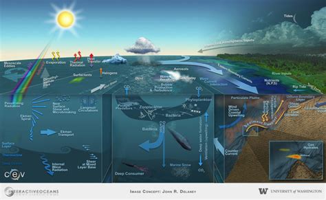Earth Ocean Processes Top Half