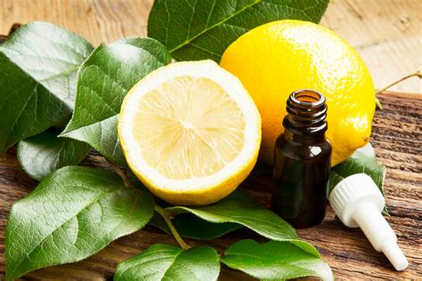 Pure Lemon Essential Oil Bulk Wholesale Options