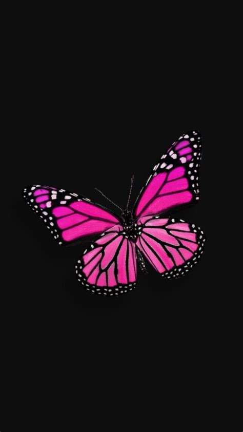 Fashion, wallpapers, quotes, celebrities and so much more. Aesthetic Butterfly Wallpapers - Wallpaper Cave