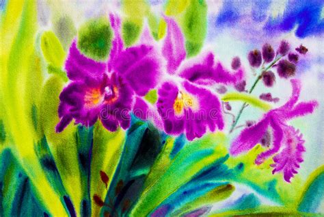 Painting Abstract Watercolor Purplepink Color Of Orchid