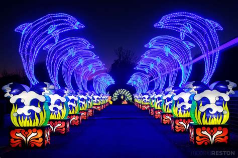 The Chinese Lantern Festival Might Be The Most Beautiful Holiday Lights