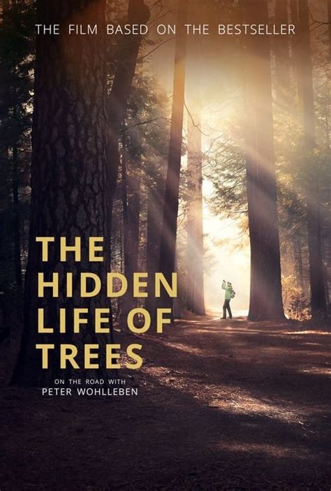 The Hidden Life Of Trees Uk