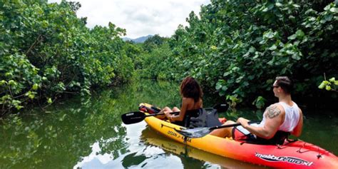 Oahu Kayak Tour Kahana Rainforest River Kayaking Near Laie Hi And Pcc