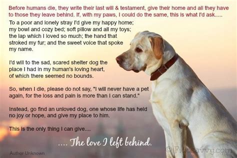 Quotes About Dog And His Owner 14 Quotes