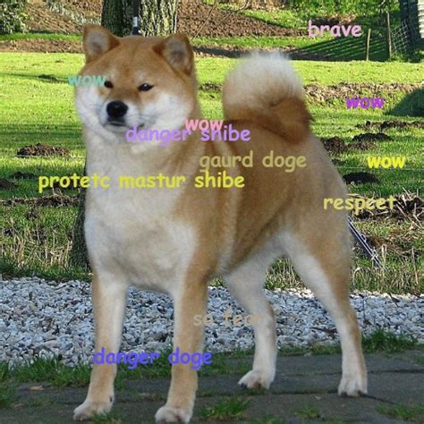 Image 606429 Doge Know Your Meme