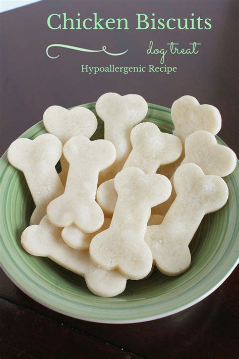Yummly's food blog:read all about it. Homemade Hypoallergenic Dog Treats Recipe