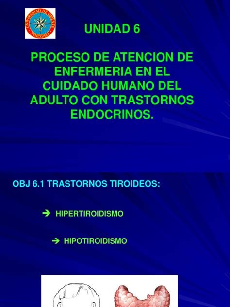 6 Sistema Vi Endocrino Pdf Hipertiroidismo Diabetes