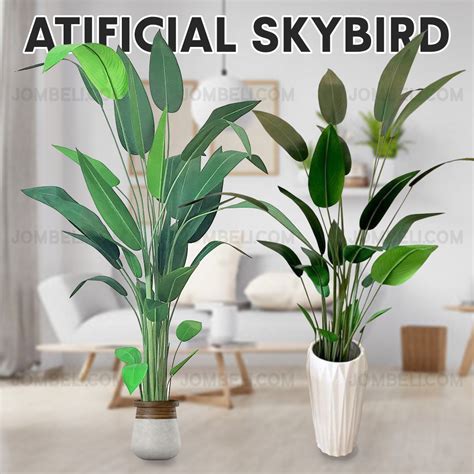 Looking at your little plant i really think it's gonna make it if you leave it dry out enough and then water very judiciously for a while! **Jombeli Artificial SkyBird Tree | Shopee Malaysia