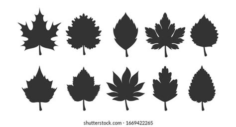 Set Autumn Silhouettes Isolated On White Stock Vector Royalty Free