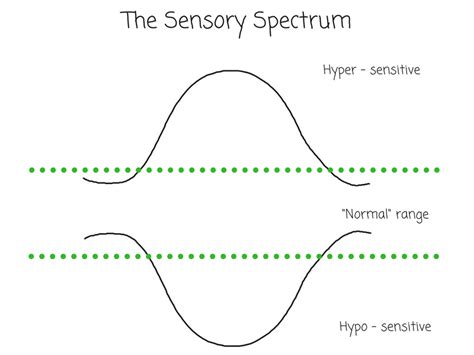 The Sensory Spectrum And Sensory Processing Disorder Parent Resources