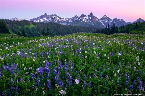 Interesting Facts About Mount Rainier National Park Just