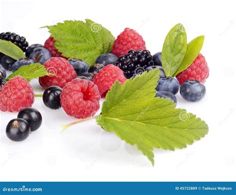 Assortment Of Various Berries White Stock Image Image Of Closeup