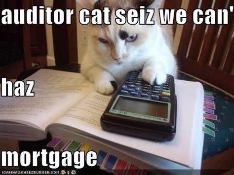 Auditor Cat Sez Math Cats Cats Funny Cat Pictures