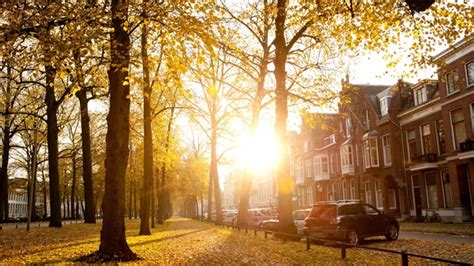 Sunny Autumn Afternoon Mac Wallpaper Download
