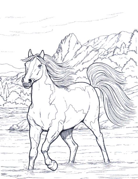 Realistic Hard Horse Coloring Pages Hard Coloring Pages Of Realistic