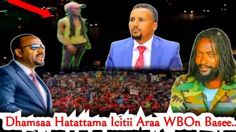 Dhamsaa Hatattama Icitii Araa Wbon Basee Fanoo Oromia Qubatee