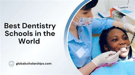 7 Best Dentistry Schools In The World Global Scholarships
