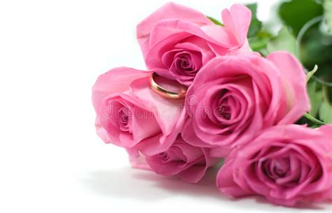Five Pink Roses With Golden Wedding Ring Stock Photo Image Of Bouquet