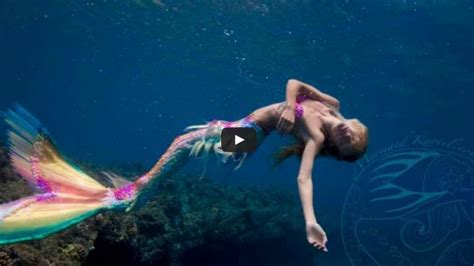 Free Download Real Mermaids Found Alive Swimming Mermaids Pictures Real