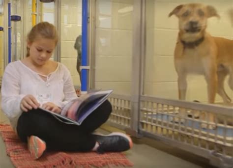 Reading Program Pairs Kids With Shelter Dogs Childrens Book Council