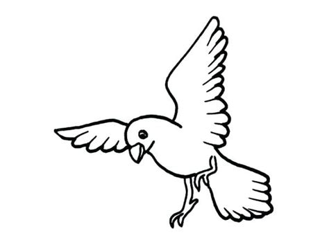 Simple Bird Drawing Flying At Getdrawings Free Download