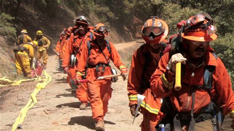 inmate hand crews fight california s forest fires