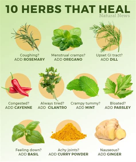 10 herbs that heal skin care wrinkles organic skin care anti aging skin products