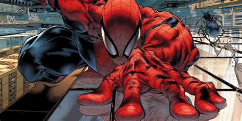 15 Things You Didnt Know About Spider Man Screenrant