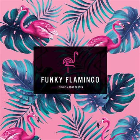 Funky Flamingo Visit Southampton