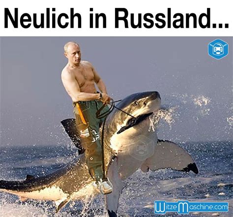 Wie Putin In Russland Einen Hai Reitet Funny Russian Fail Putin