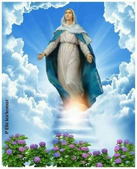 Mother Mary Quotes Mary Jesus Mother Mother Mary Images Jesus And
