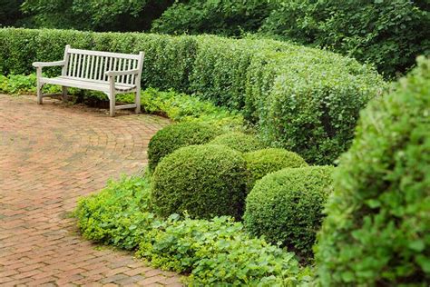 41 Incredible Garden Hedge Ideas For Your Yard Garden Hedges Garden