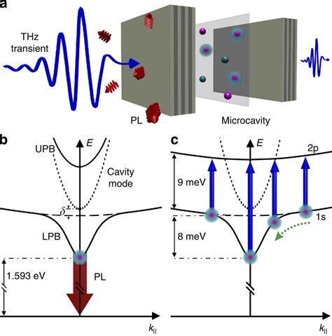 Schematic Of Pl And Thz Probing Of Cavity Excitonpolaritons A