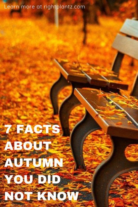 7 facts about autumn you probably did not know i fall facts facts autumn