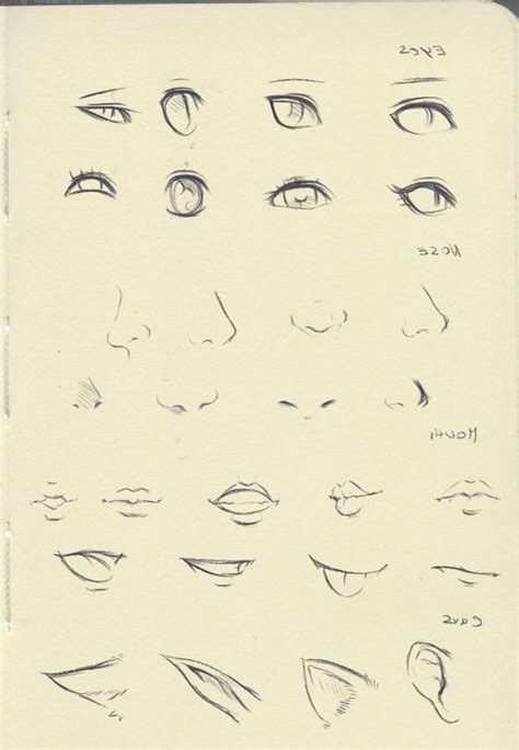 Anime Nose Drawing Reference Simple Anime Nose And Mouth