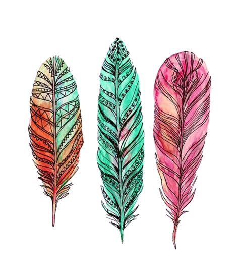 Watercolor Feather Png Images Transparent Free Download Pngmart