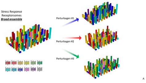IJMS | Free Full-Text | GPCRs Are Optimal Regulators of Complex