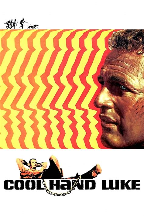 Cool Hand Luke 1967 Posters — The Movie Database Tmdb