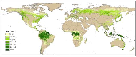 Forest Biomass Wur
