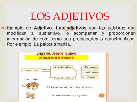 Funciones De Los Adjetivos En Español Con Ejemplos