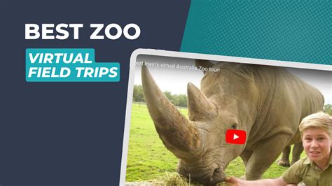 18 Virtual Zoo Field Trips, Tours, and Zoo Cams – Audit Student
