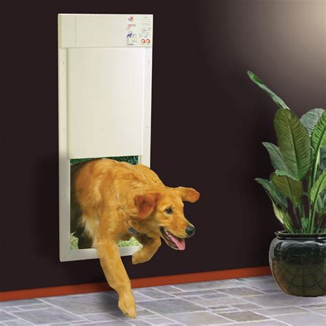 These doors are slightly more expensive, but they have a number of added safety. Best Electronic Dog Door Review: Bestbuy Electronic Dog ...