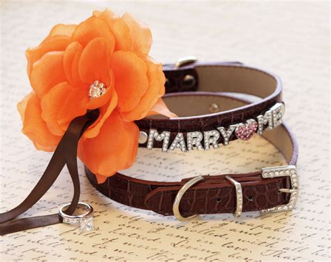 Marry Me Dog Collar Brown Leather Dog Collar With Marry Me Letters