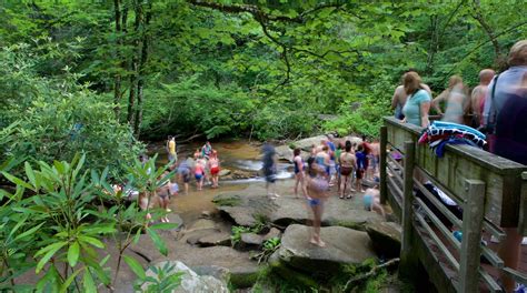 Hotels And Lodging Near Pisgah National Forest North Carolina Find