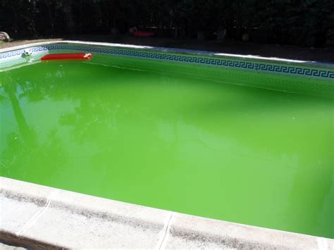 Why Is My Pool Still Green Or Cloudy After Shocking Dengarden
