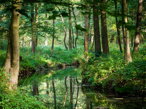 Book your holiday in spreewald in germany. Spreewald - René Rott