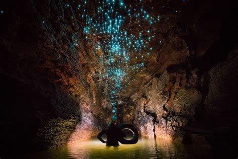 Glowworms Make Natural Light Installations In New Zealands Caves