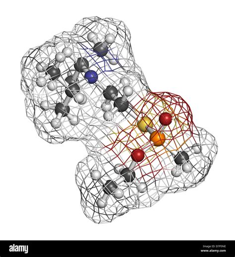 Vx Nerve Agent Molecular Model Vx Is A Chemical Weapon Classified As