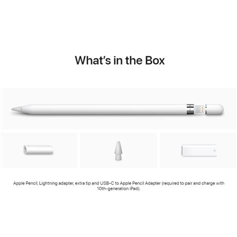 Apple Pencil 1st Generation With Usb C To Apple Pencil Adapter
